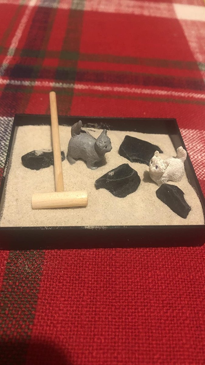 Zen Garden Litter Box: A shops Little Piece of Mindfulness : New