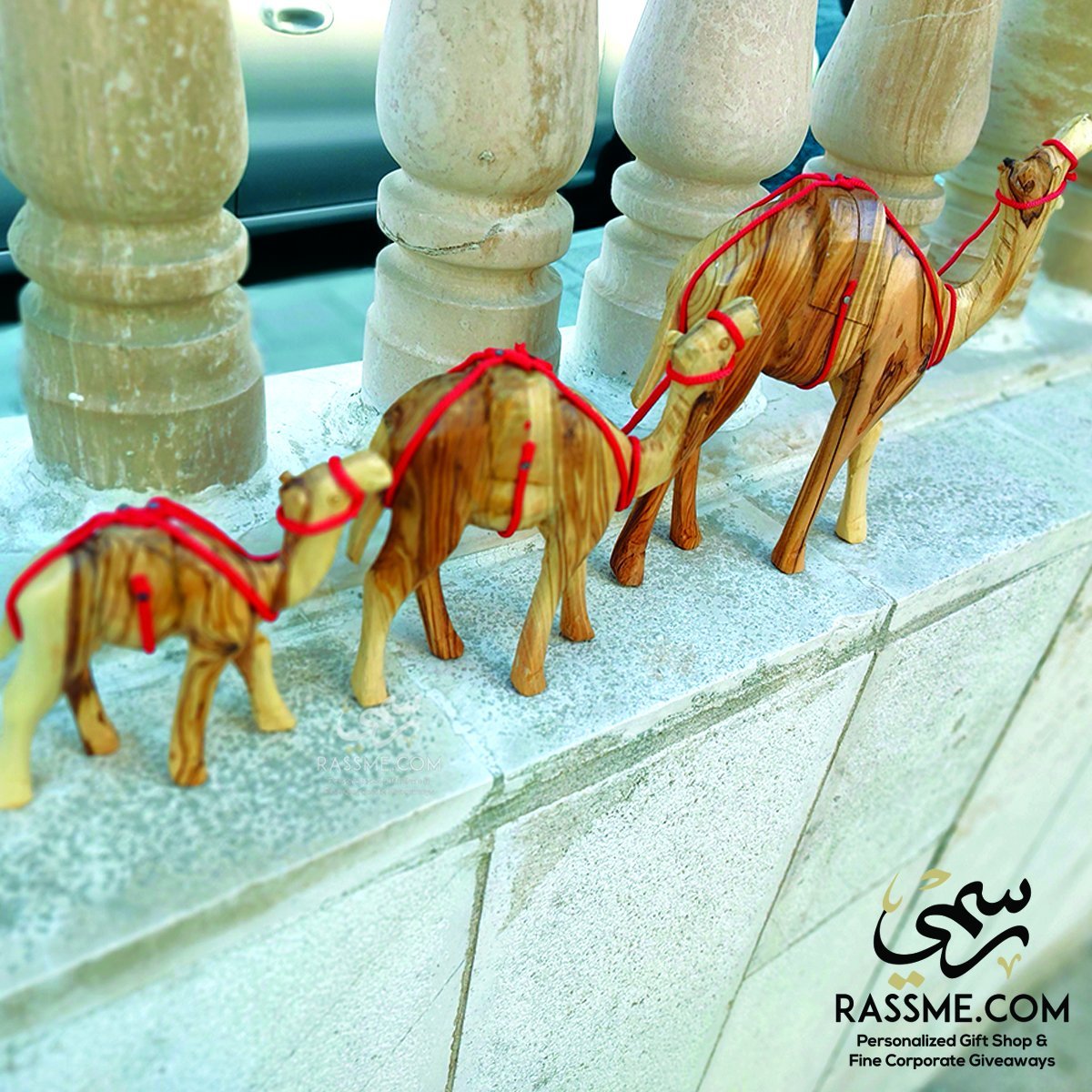 OLIVE TREE WOOD CAMEL