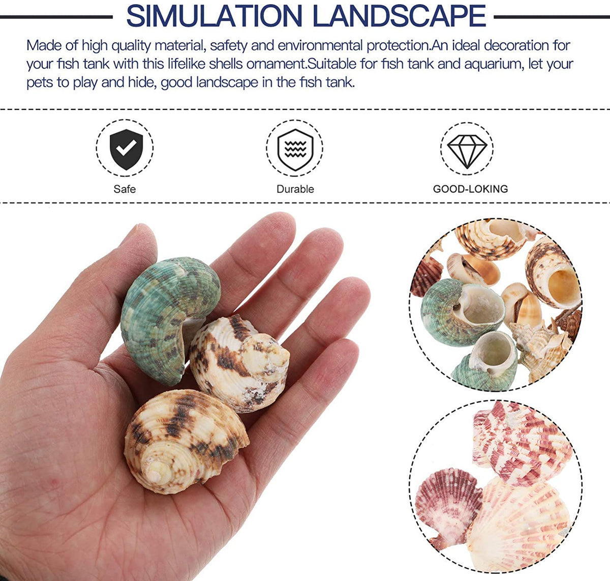 Aquarium Shells Sea Shells Conch Mixed Beach Seashells Fish Tank