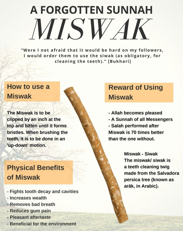 Miswak Miswaak, Siwak, Sewak Natural Toothbrush مسواك - STLESS