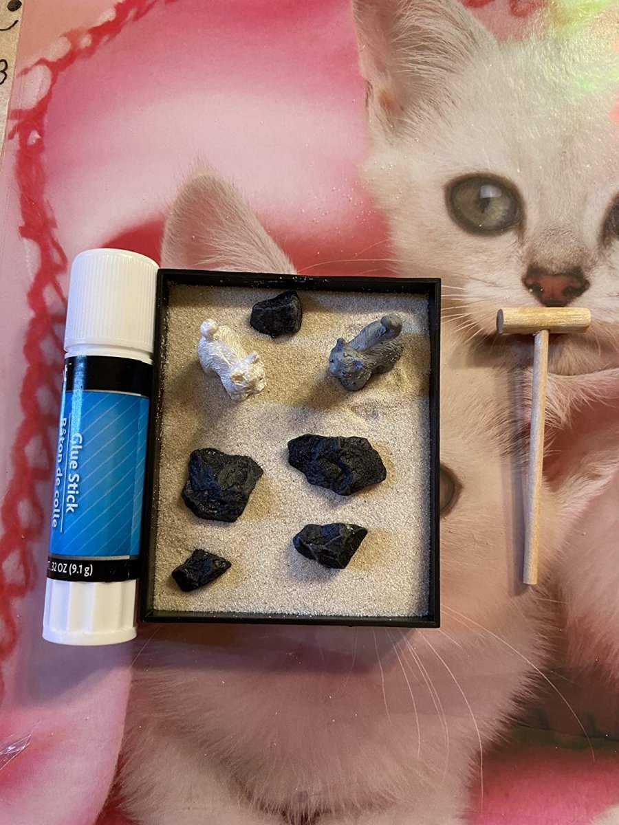 Small Cute Zen Garden Litter Box: A Little Piece of Mindfulness