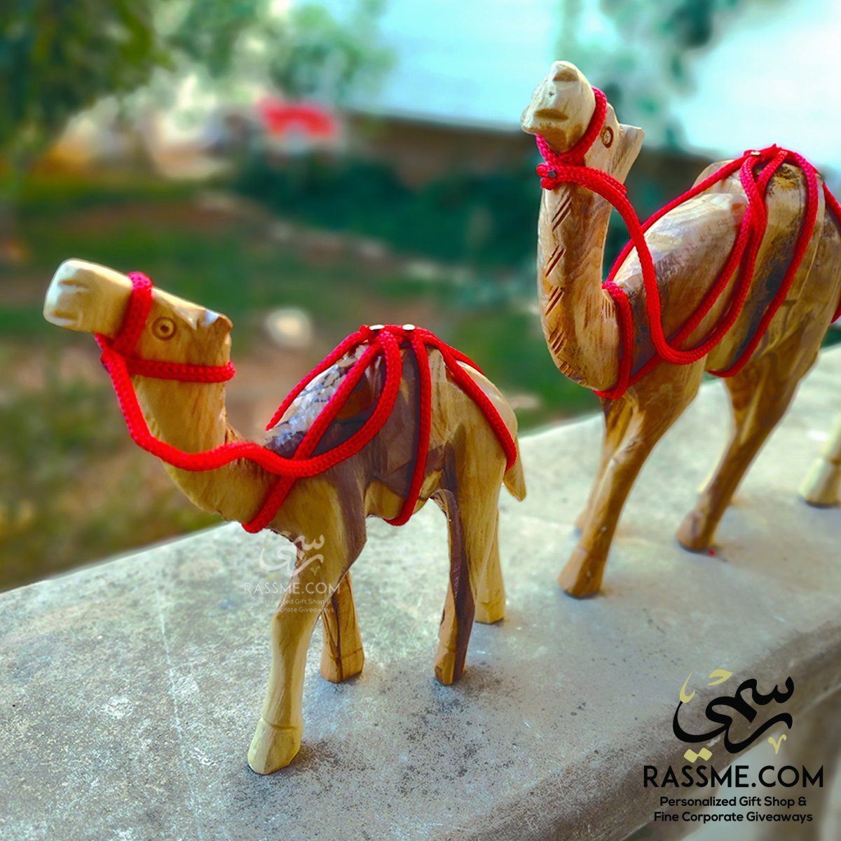 OLIVE TREE WOOD CAMEL