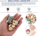 Aquarium Shells Sea Shells Conch Mixed Beach Seashells Fish Tank