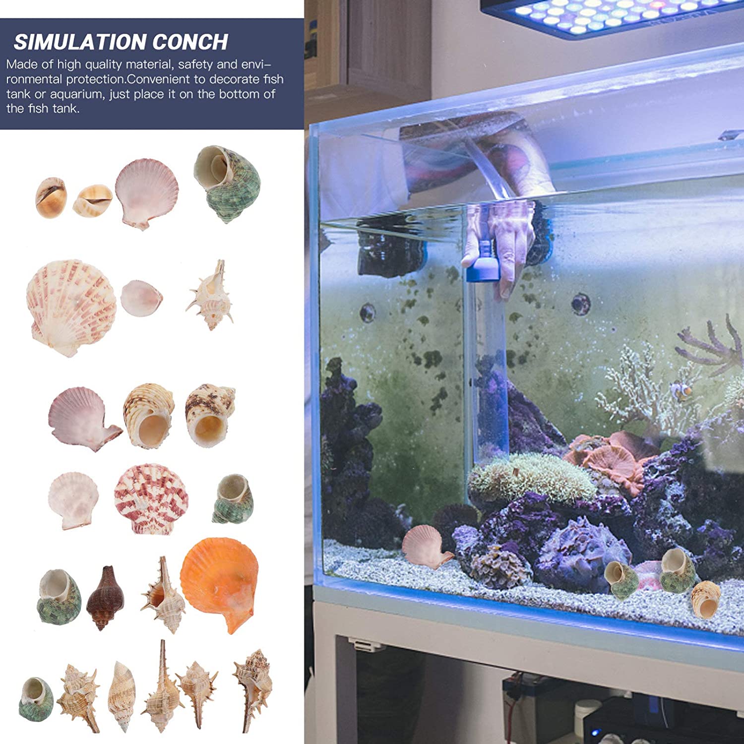 Aquarium Shells Sea Shells Conch Mixed Beach Seashells Fish Tank - Rassme