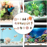 Aquarium Shells Sea Shells Conch Mixed Beach Seashells Fish Tank